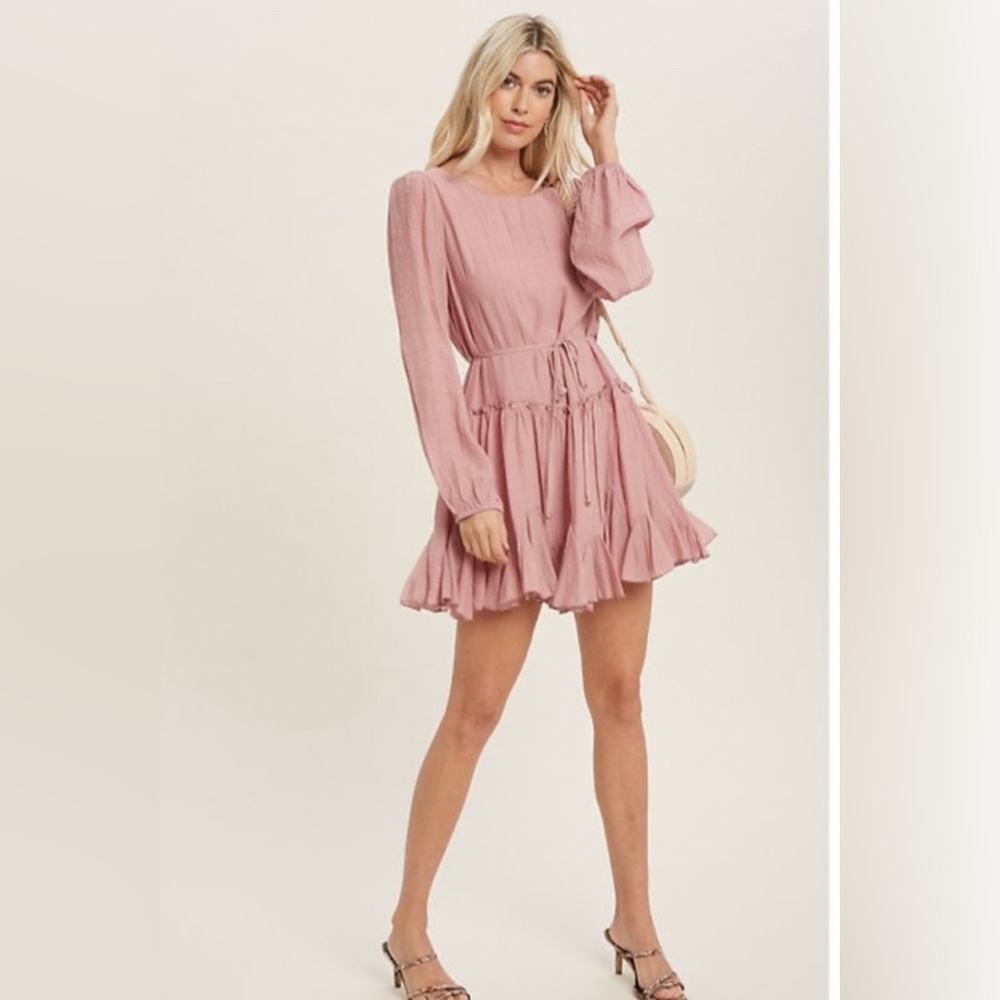 Flawless Rose Ruffled Mini Swing Dress w Self sash M Never worn